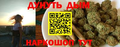 шишки Аша