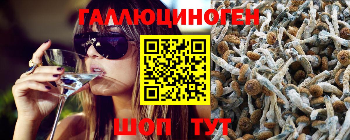 Галлюциногенные грибы мухоморы Саратов