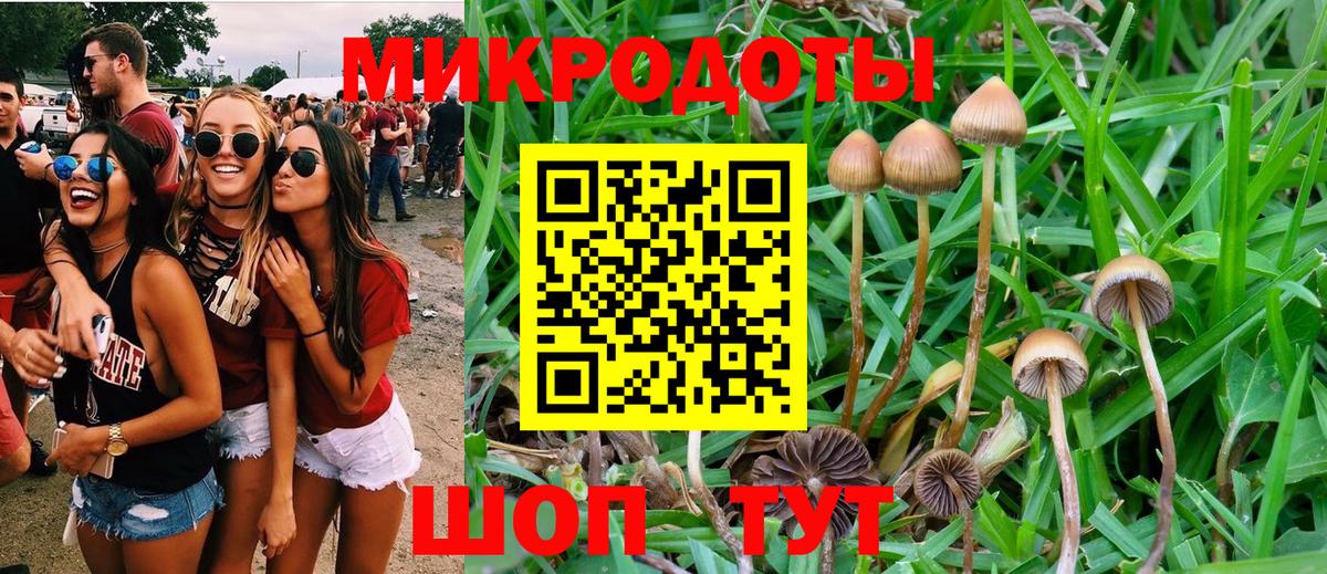 Галлюциногенные грибы мицелий  Галлюциногенные грибы Psilocybine cubensis  Вход с VPN  Саратов 
