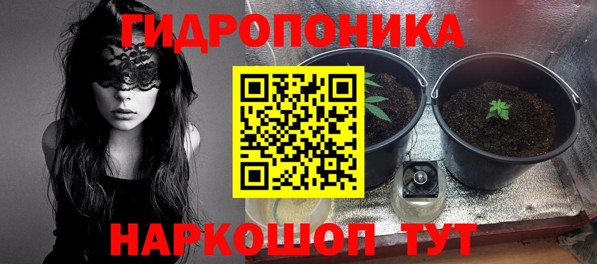 Бошки марихуана тримм  МАРИХУАНА ГИДРОПОН  Саратов  Вход с VPN  Канабис White Widow 
